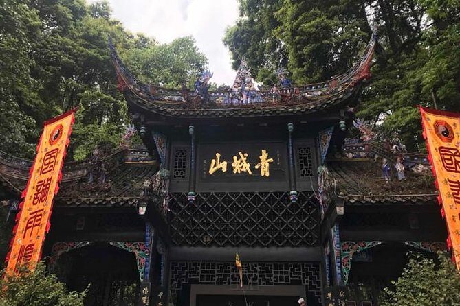 Dujiangyan Panda Base and Mount Qingcheng - Hotel pickup at 8:00 and the Dujiangyan Panda Base morning