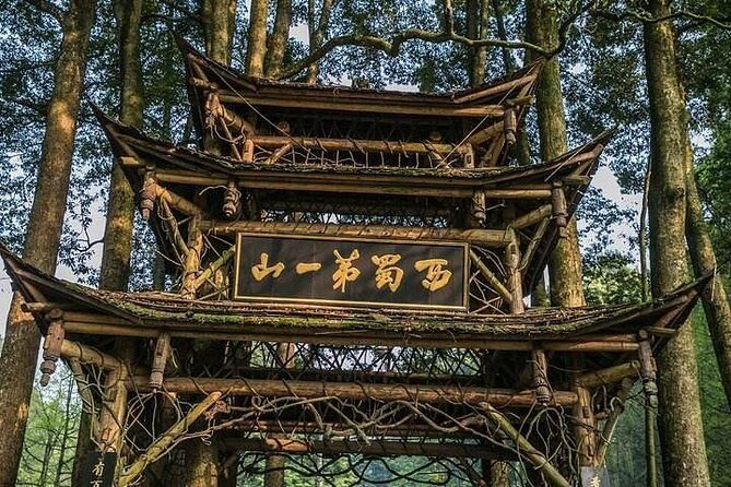 Dujiangyan Panda Base and Mount Qingcheng - Time management: fitting two highlights into an 8-hour day