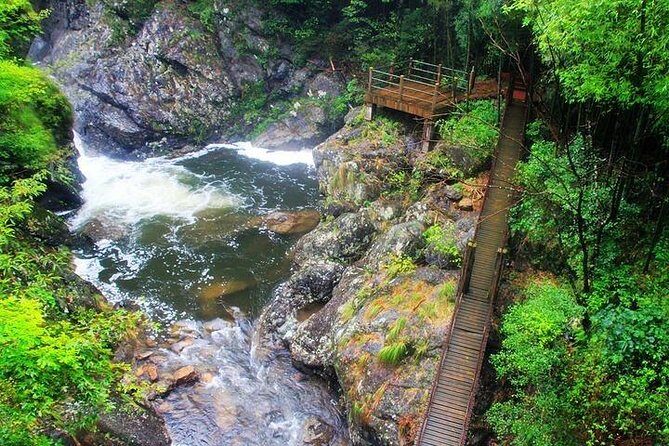 Dujiangyan Panda Base and Mount Qingcheng - Should you book it? My decision guide