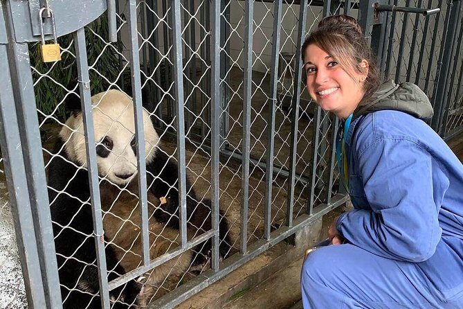 Dujiangyan Panda Volunteering Experience with Lunch - Getting Started: The 7:00 am Pickup and Smooth Check-In