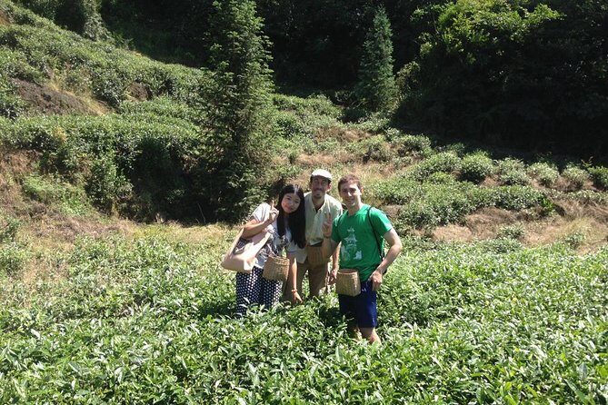 Experience Chengdu: Private Tea-Making Day Tour of Mengdingshan Tea Plantation - Lunch first: a break before the tea work