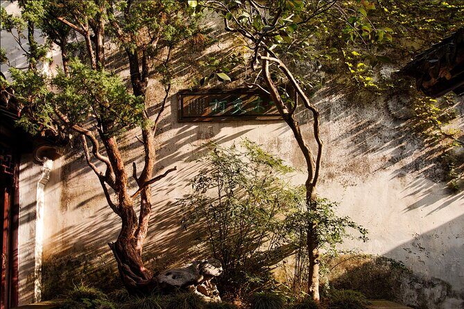 Explore Suzhou's Hidden Gardens&Enchanting Tongli Ancient Town - Pingjiang Road and the couple’s garden stop for street-level Suzhou