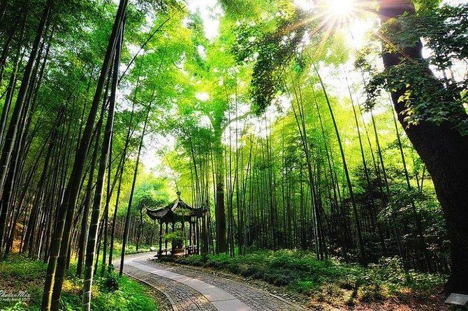Flexible Hangzhou Private Day Tour with Lunch - Leifeng Pagoda: the viewpoint payoff