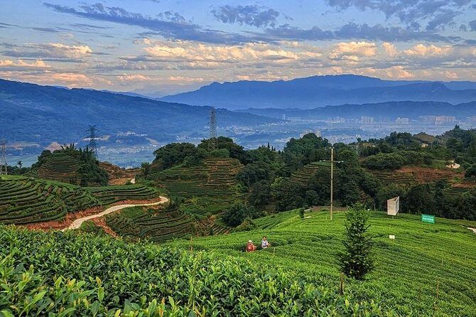Flexible Hangzhou Private Day Tour with Lunch - Price and value: what your $169.54 actually covers