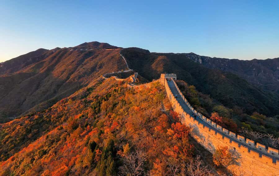 Forbidden City & Mutianyu Great Wall Small Group Day Tour - Booking and payment flexibility: how to plan without stress