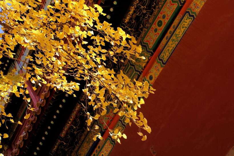 Forbidden City Of Beijing Tickets Booking And Other Option - What your first entrance ticket includes (and what needs extra)