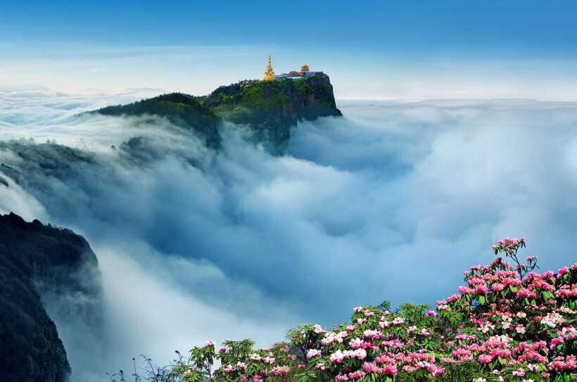 From Chengdu: Mount Emei Day Trip with Golden Summit Visit - Price and value: is $338 per person a smart buy?