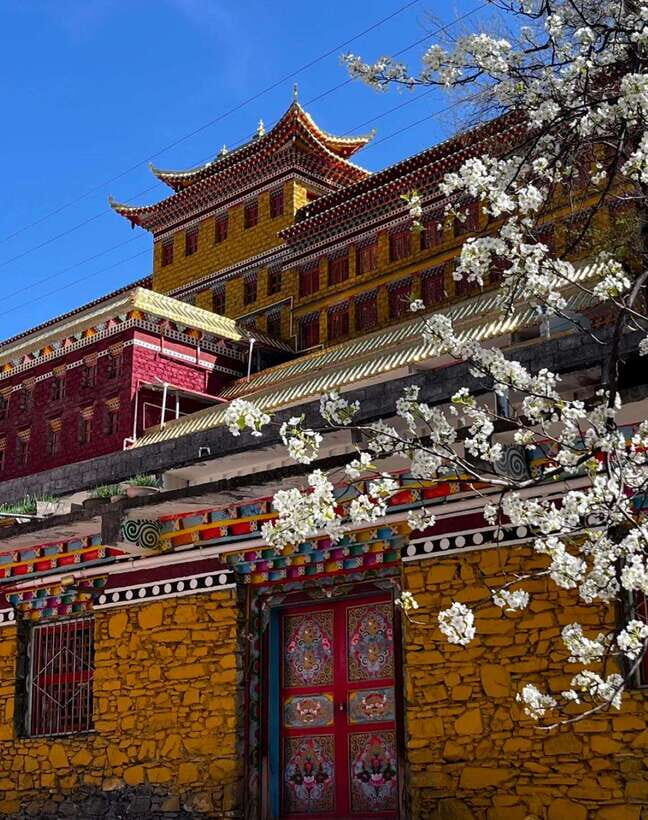 From Chengdu: Tibetan Village Live as a Tibetan Day Tour - Lungta blessing ritual: a small act with big symbolism
