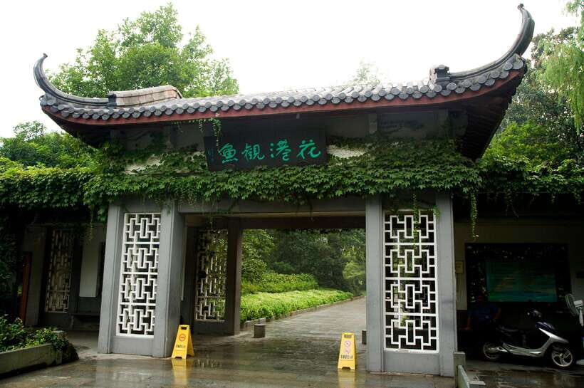 From Shanghai: Hangzhou Private Day Trip by Bullet Train - Quick take: what makes this Hangzhou day trip work