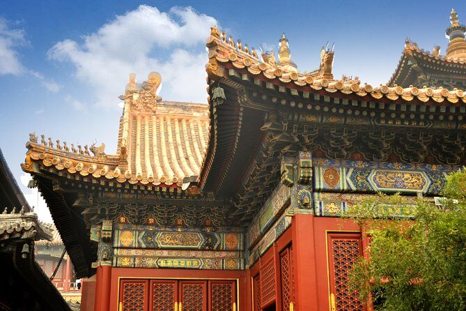 Full-Day Beijing City Tour: Hutongs, Lama Temple and Panda House - Olympic Park photo stop: Water Cube and Bird’s Nest in 45 minutes