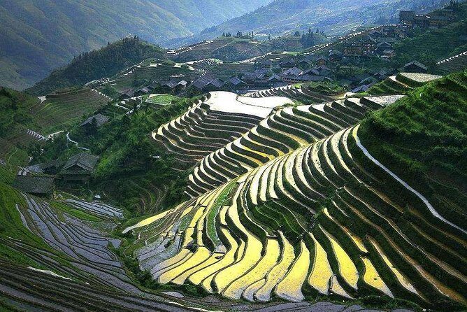 Full-day Tour: Longji Rice Terraces & Minority Villages - Longji Rice Terraces and the Dragon Spine idea: more than a postcard