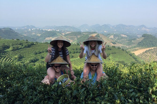 Full-day Tour: Spectacular Sunrise, Tea Plantation & Sunset - Value and What You’re Really Paying For at $175