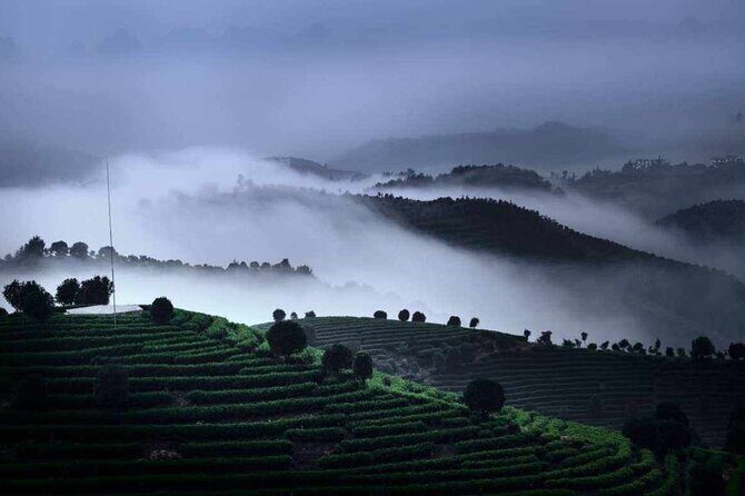 Full-day Tour: Spectacular Sunrise, Tea Plantation & Sunset - Who Should Book This, and Who Should Skip