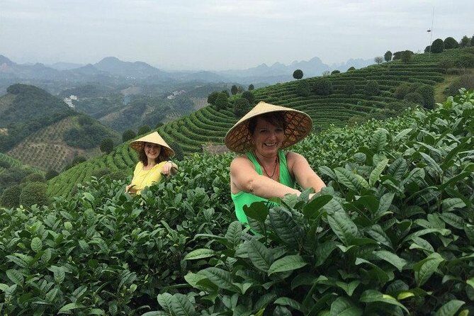 Full-day Tour: Spectacular Sunrise, Tea Plantation & Sunset - Practical Tips That Make This Day Feel Easy