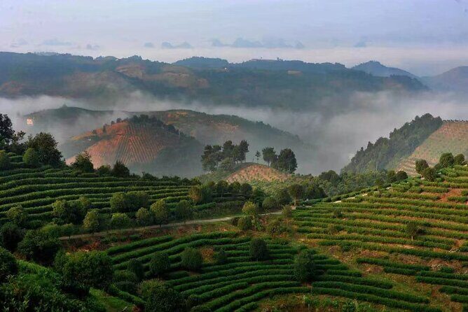 Full-day Tour: Spectacular Sunrise, Tea Plantation & Sunset - Should You Book This Sunrise–Tea–Sunset Day Trip?