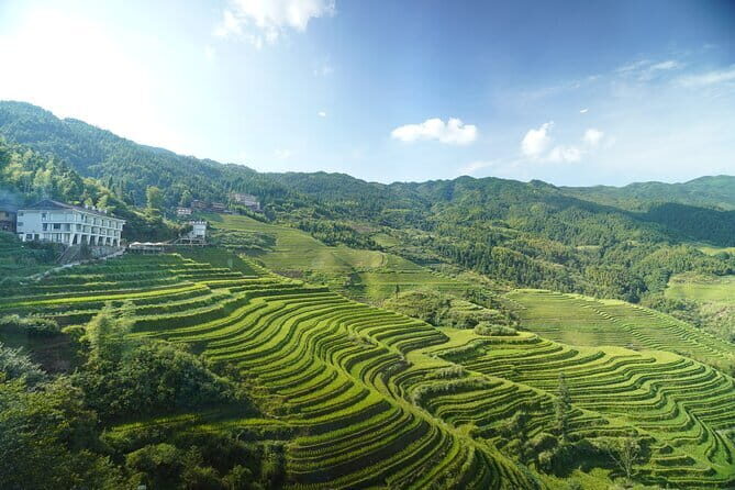Fully-Guided Private Day Tour of Longji Terraces From Guilin - How This 8-Hour Longji Private Day Works From Guilin