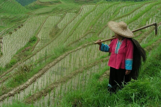 Fully-Guided Private Day Tour of Longji Terraces From Guilin - Sun and Moon Pagodas Area + the Four Lakes Night Cruise Option