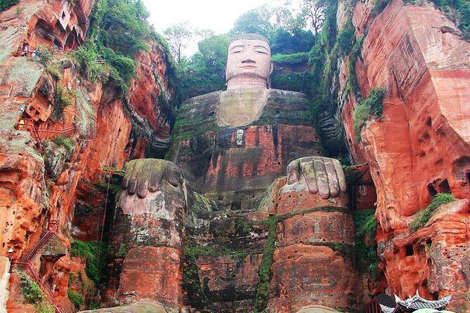 Giant Panda and Leshan Buddha Day Trip from Chengdu - Giant Panda Breeding Research Base: what you’re really here to see