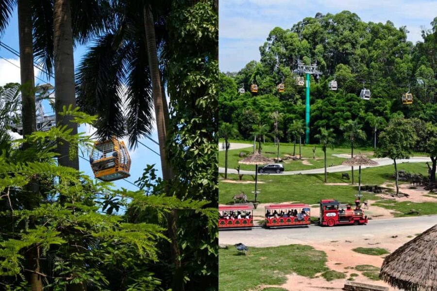 Guangzhou Chimelong: Safari Park/Paradise - Price and value for about $68: what’s included, what costs extra