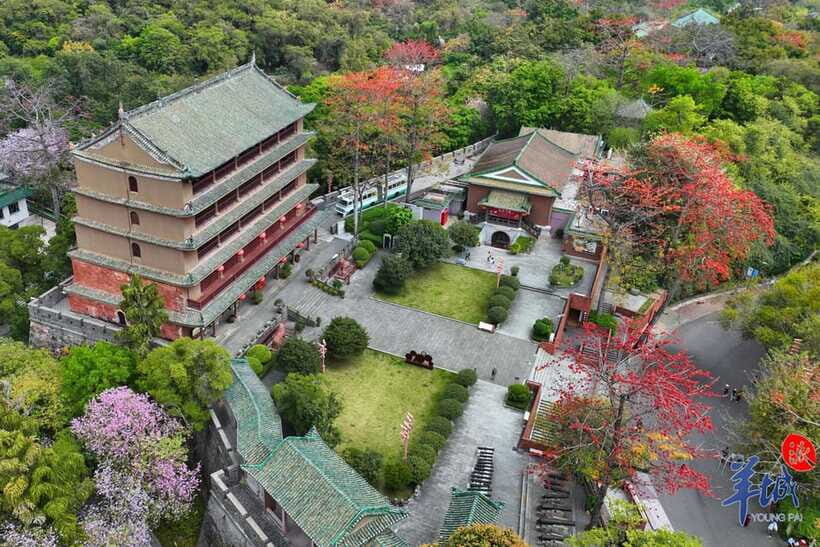 Guangzhou Full Day City Tour with Old and New Highlights - Nanyue King Mausoleum: an ancient tomb museum that you can actually understand