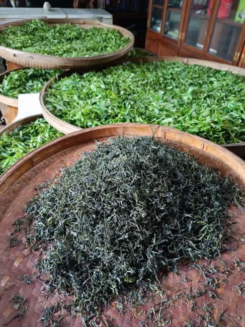 Guilin: City Tour with Elephant Hill & Ming Tea Tasting - How the 4-Hour Private Flow Works in Guilin (Pickup to Return)