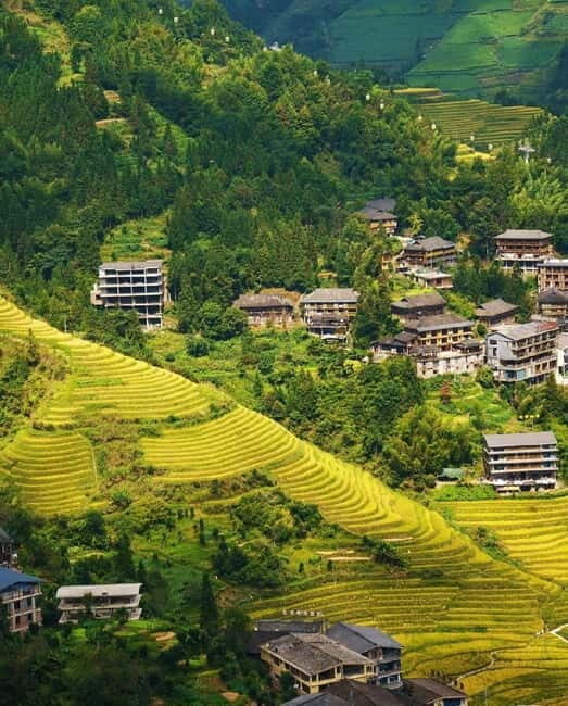 Guilin Longji: Rice Terrace with Oil-Tea Demo & Zhuang Lunch - Key Points Worth Pricing Your Day Around