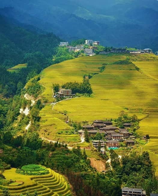 Guilin Longji: Rice Terrace with Oil-Tea Demo & Zhuang Lunch - What the Guide Adds (Beyond the Facts)