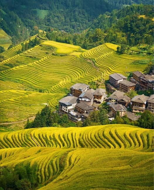 Guilin Longji: Rice Terrace with Oil-Tea Demo & Zhuang Lunch - Guzhuang Village: A Zhuang Village Stop That Feels Like a Living Place