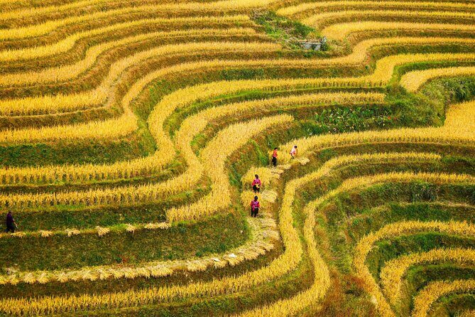 Guilin: Longji Rice Terraces and Villages Private Day Tour - Longji Rice Terraces day: a private plan that saves your energy