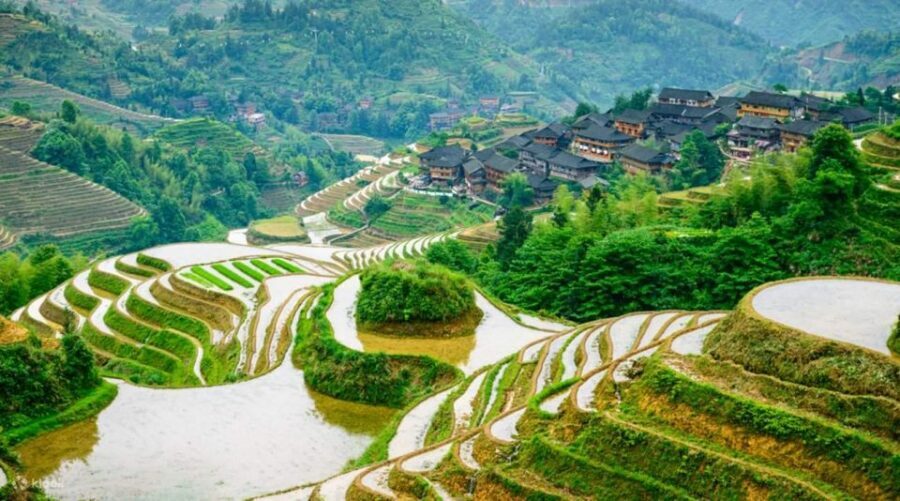 Guilin: Longji Rice Terraces& Long Hair Village Private Tour - Ping’an rice terraces: walking the spine, plus two famous scenery stops