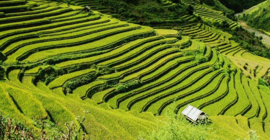 Guilin Longji Terraces Private Day Tour - From Guilin Downtown to Longji: a smooth start with a winding-road reality