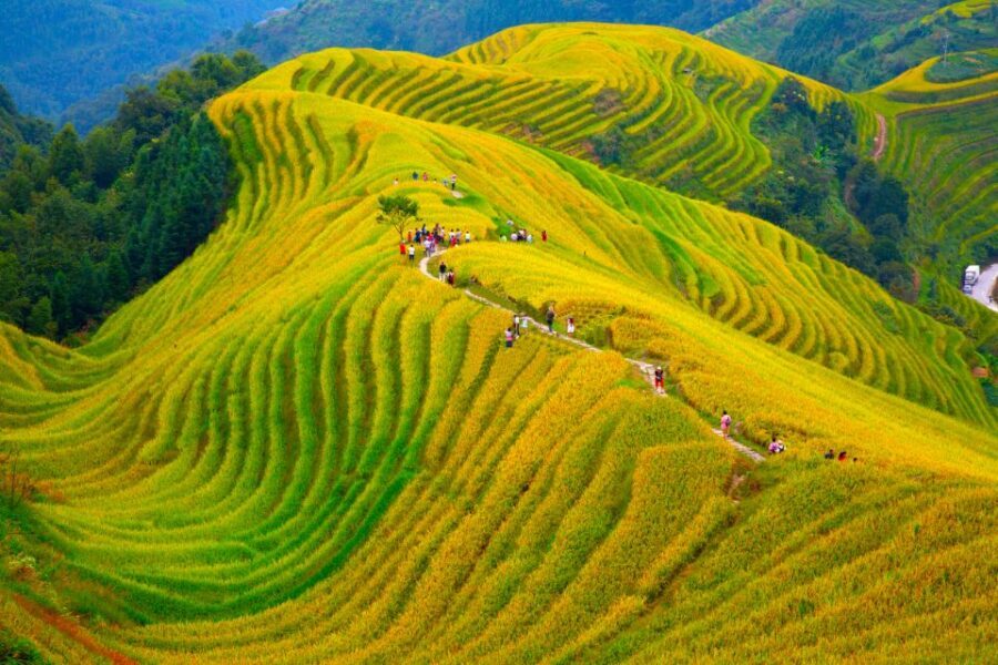 Guilin Longji Terraces Private Day Tour - Lunch, pacing, and why the schedule feels tight (but not random)