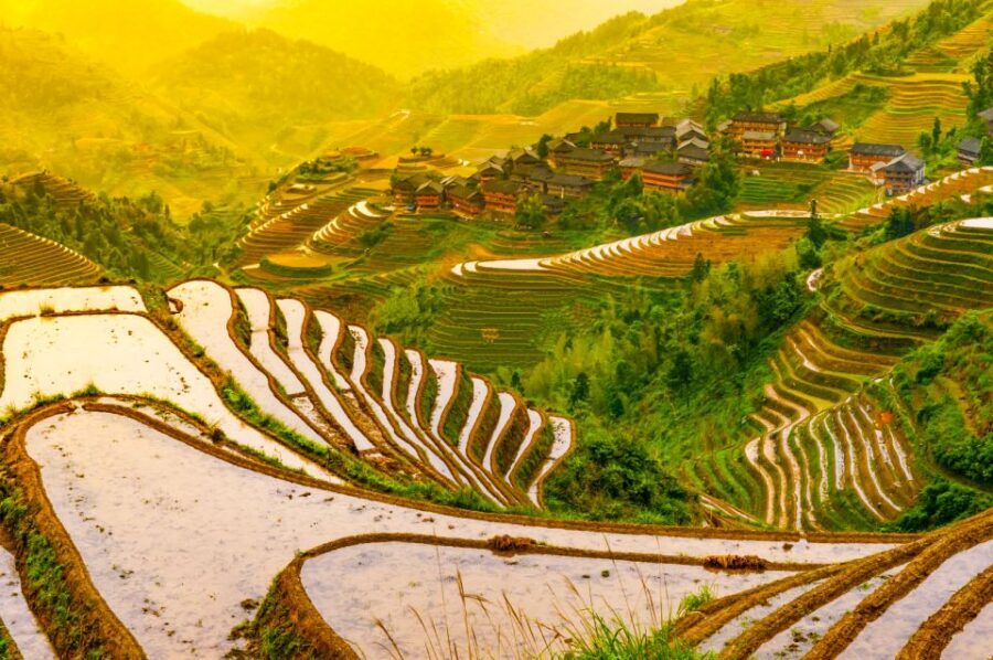 Guilin Longji Terraces Private Day Tour - Longji Rice Terraces: stilted farming, managed hills, and your hike to the top