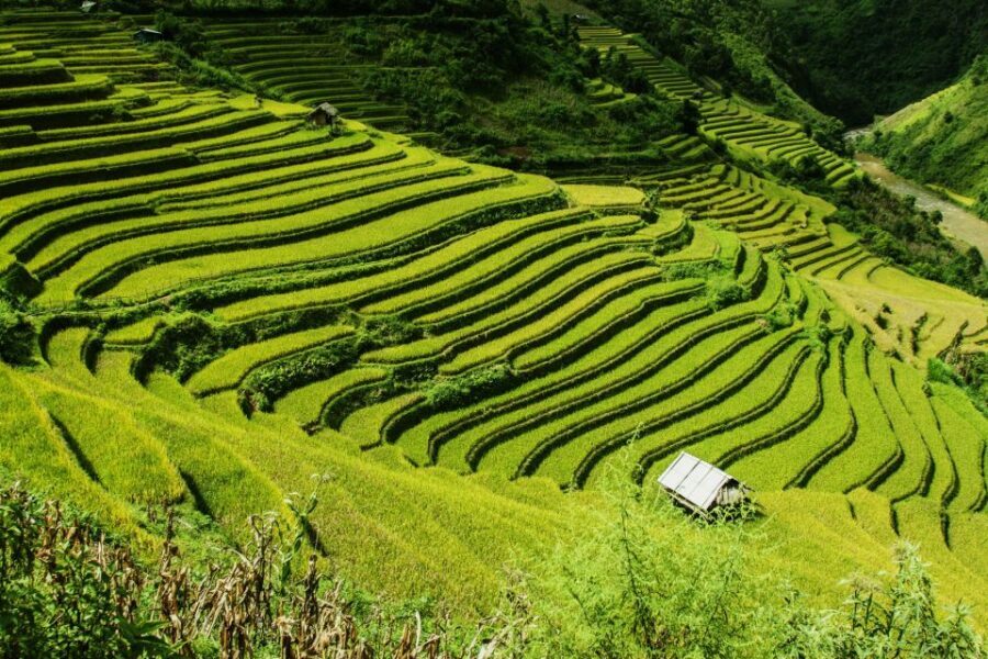 Guilin Longji Terraces Private Day Tour - Huangluo Village and the Long Hair show: culture you can actually watch and understand