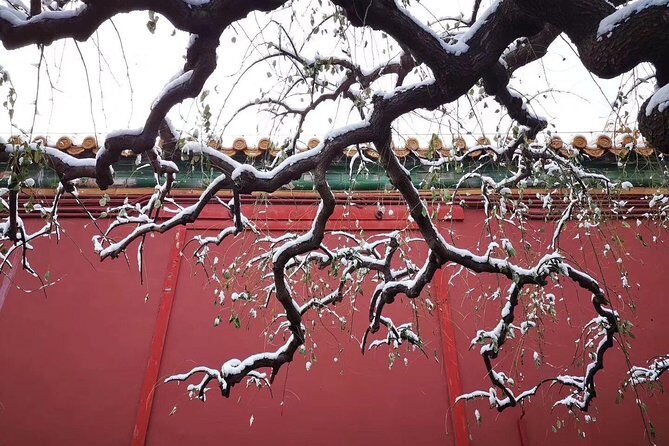 Half Day Beijing Group Tour to Tiananmen Square and Forbidden City - Tiananmen Square: Getting Your Bearings Fast