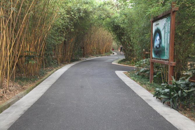 Half-Day Chengdu Panda Research Base Private Tour - A half-day panda schedule that actually works