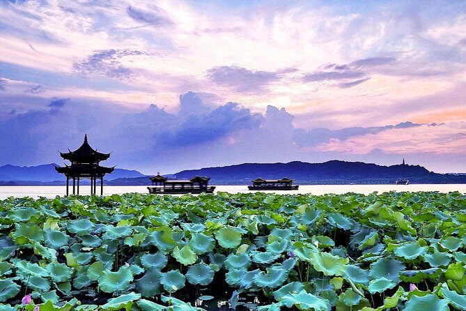 Half-Day Flexible Private Hangzhou Highlight Tour - The big idea: a flexible half-day that keeps your energy