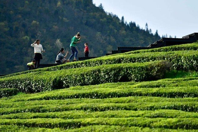 Half-Day Flexible Private Hangzhou Highlight Tour - West Lake (Xi Hu): the part you can tailor, not just tour
