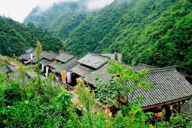 Half-Day Flexible Private Hangzhou Highlight Tour - Longjing tea fields: free entry, big payoff for tea lovers