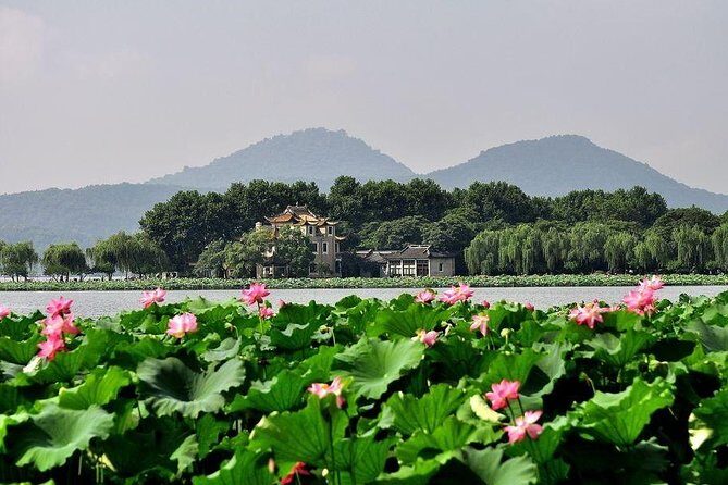 Half-Day Flexible Private Hangzhou Highlight Tour - What your private guide actually does (beyond “showing the way”)