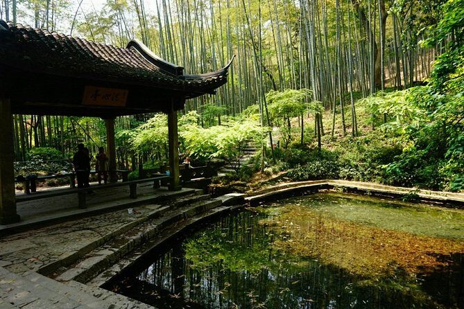 Half-Day Hangzhou Yunxi Bamboo Forest and Tea Plantation Experience - Key things to know before you go