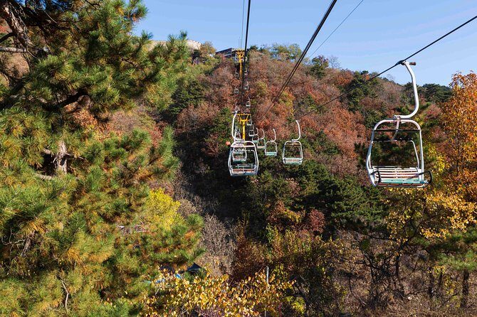 Half Day Mutianyu Great Wall private tour - Price and value: is $220 per person worth it?