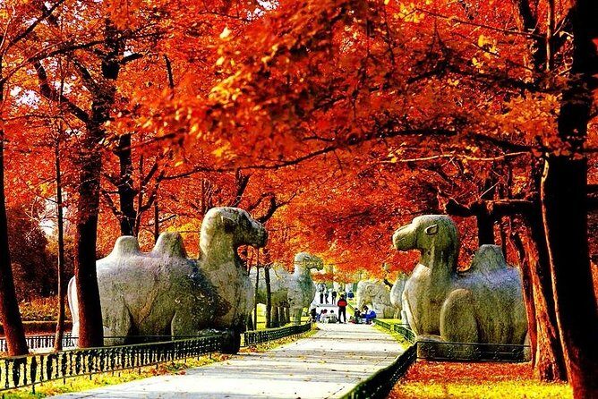Half-Day Nanjing Purple Mountain Private Tour in Your Way - Key Things That Make This Tour Feel Worth It