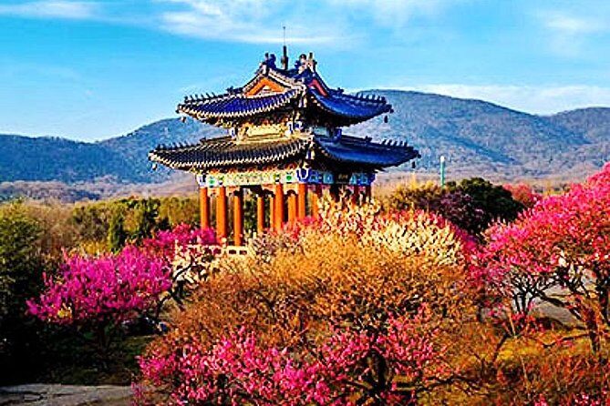 Half-Day Nanjing Purple Mountain Private Tour in Your Way - Sun Yat-sen’s Mausoleum: More Than a Photo Stop