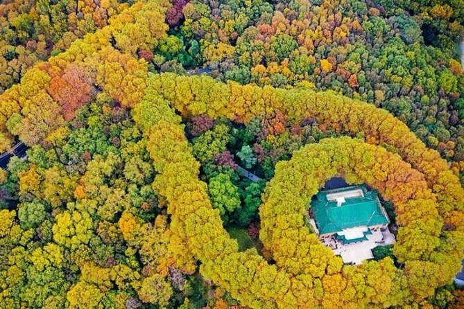 Half-Day Nanjing Purple Mountain Private Tour in Your Way - Door-to-Door Pickup in Nanjing: Less Stress, More Seeing