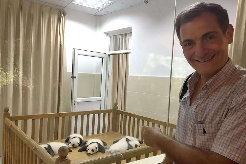 Half day small group tour to Chengdu Panda Breeding Center - Red pandas: the smaller stars with a different vibe