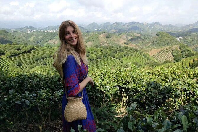 Half-day Tour: Largest Tea Plantation & Amazing Xianggong Hill - Key Highlights Worth Your Time