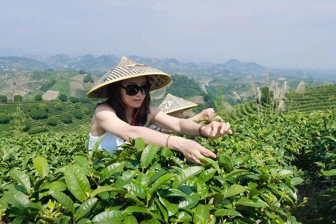 Half-day Tour: Largest Tea Plantation & Amazing Xianggong Hill - Price and Value: What’s Included, What You’ll Still Pay