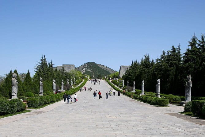 Half Day Tour to Xi'an Wild Panda Breeding and Protecting Center - Weather and common-sense planning
