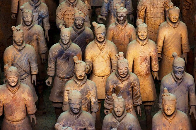 Half Day Xian Private Tour to Terracotta Warriors - The guide experience: English that stays clear and useful
